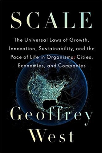 Scale book cover